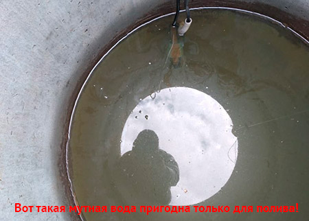 ������ ����